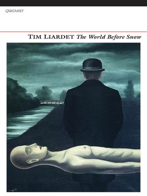 cover image of The World Before Snow